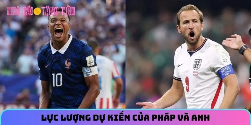 Lực lượng dự kiến của Pháp và Anh